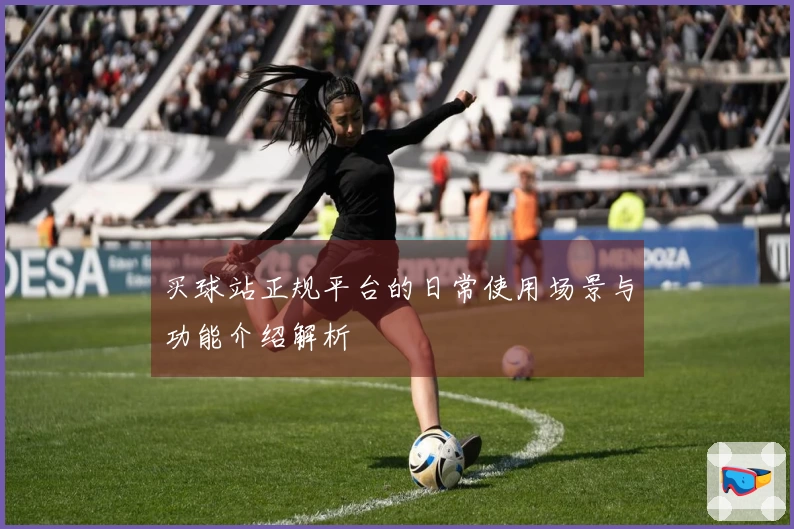 买球站正规平台的日常使用场景与功能介绍解析